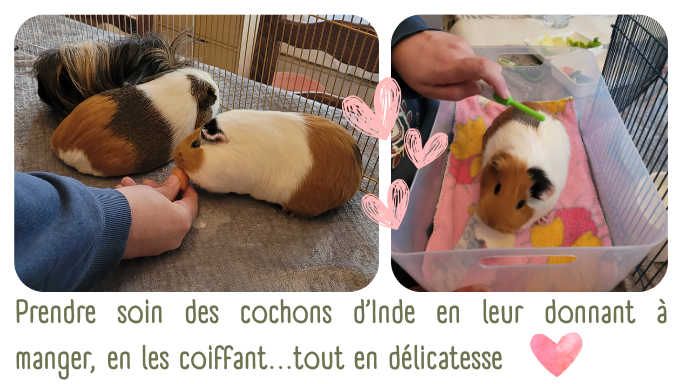 Cr&eacute;er un cadre s&eacute;curis&eacute; et s&eacute;curisant 